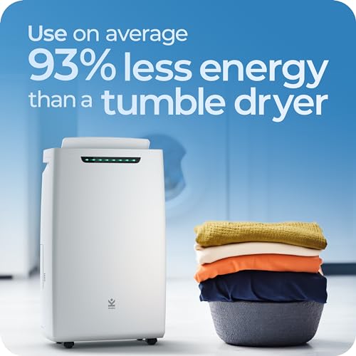 Avalla X-200 Dehumidifier for Home Drying Clothes 20L/Day